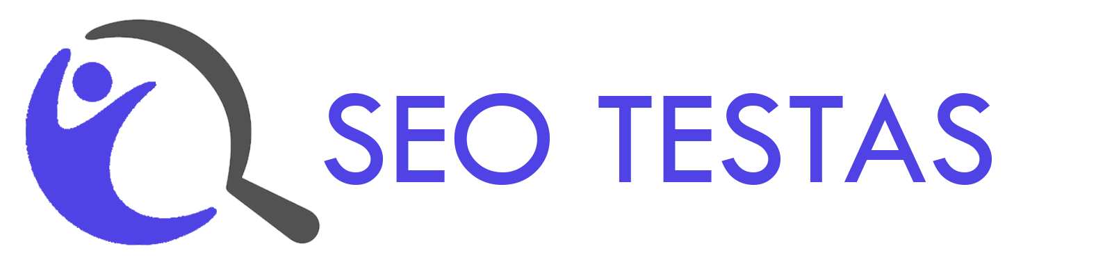 SEO Testas